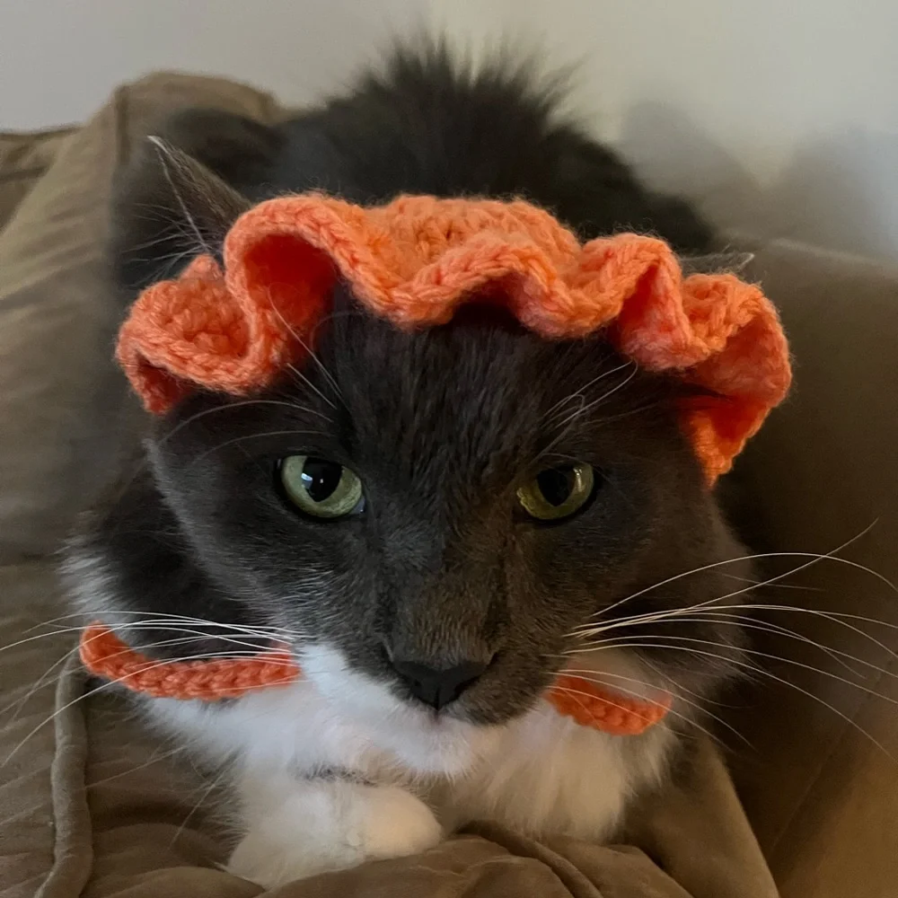 HANDMADE cat bonet bucket hat for cats cat accessories